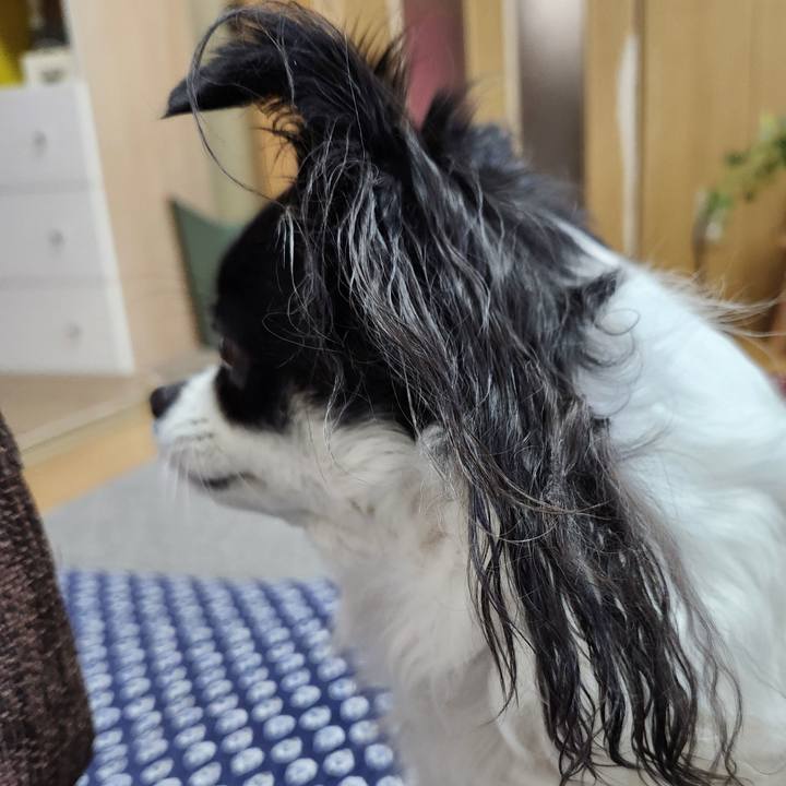 465e0dfa cd09 4a55 9197 06f1c44bdec3 1768951509623