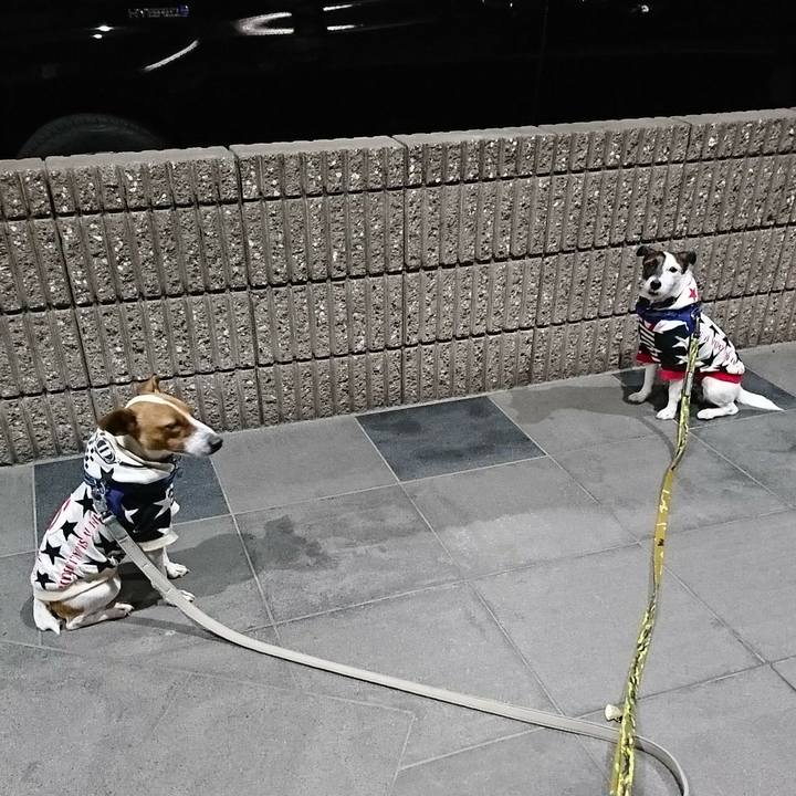 465e46f3 3dc4 424d 933b 26e1885fb657 1543579956055