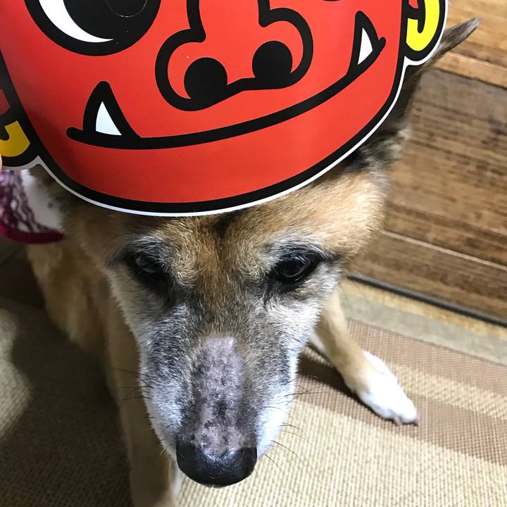 465e8628 8d9f 4291 9aca a9eae8617763 1549193845083