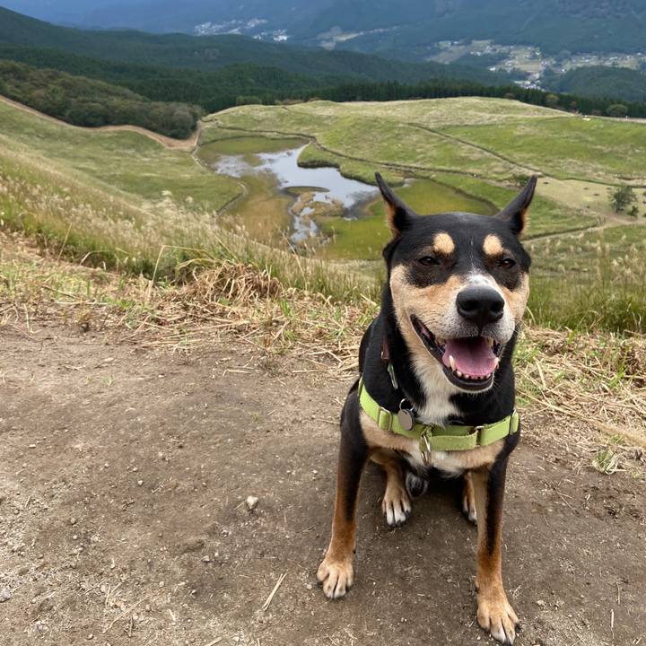 465e868f 9d97 4edf 8d56 38d3aebc9a87 1634557009024