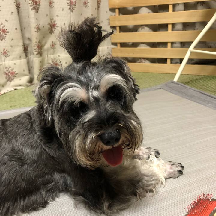 465ea35b fb2f 4160 8ca9 c1b6c8de8516 1565264725170