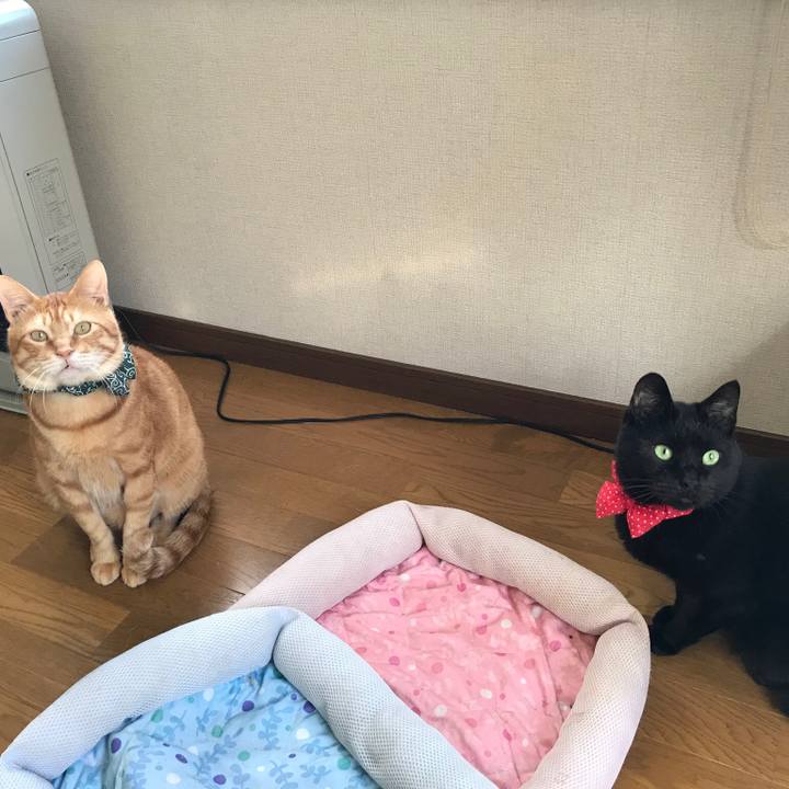 465ea72e 0e32 4201 bf17 30c163aacab9 1561246932366