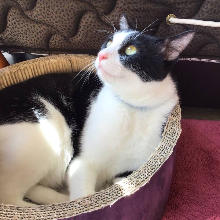 465eaccb a19a 49a2 b4d3 ea260ae41e35 1760688985530