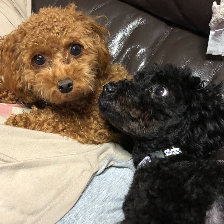 465ebc4b 6434 426a ad15 f0d92d5983d3 1510179723424