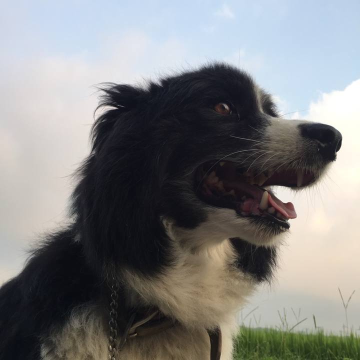 465ee4f1 556d 4036 9ffa 4f4327244284 1721278709518