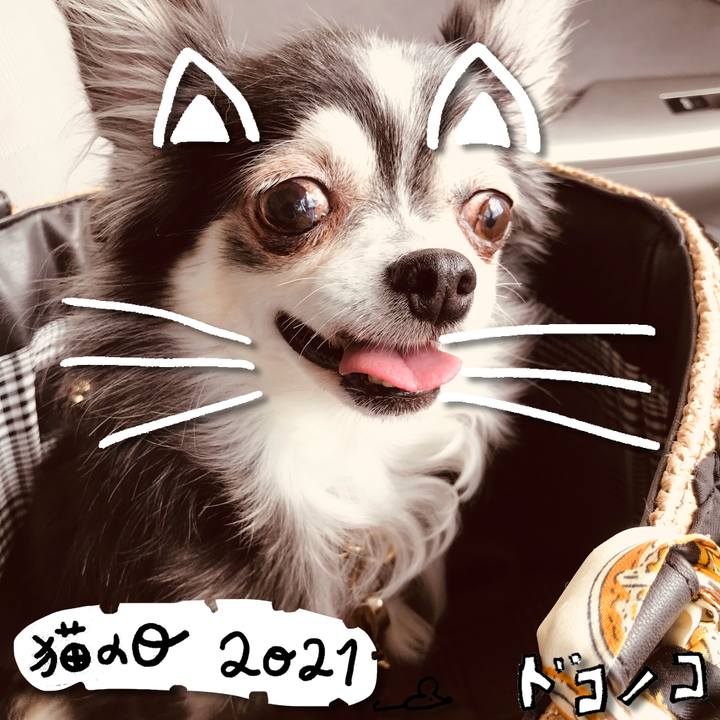 465f0027 23f1 4a4d acd9 7c6938b8e344 1613978564764