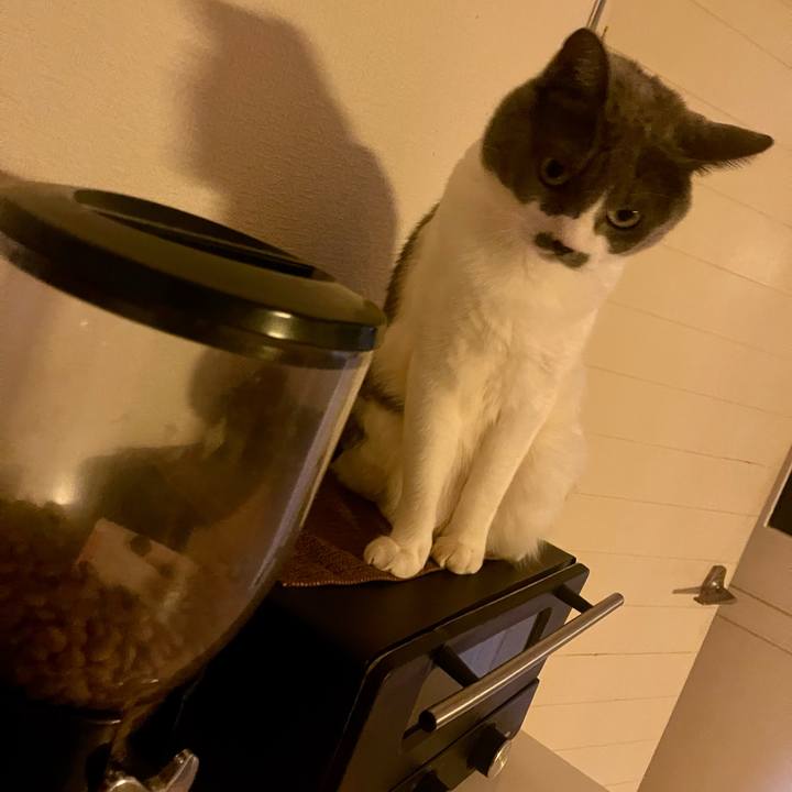 465f78ee 9e53 4102 9f29 f65ae7f93953 1734216383533