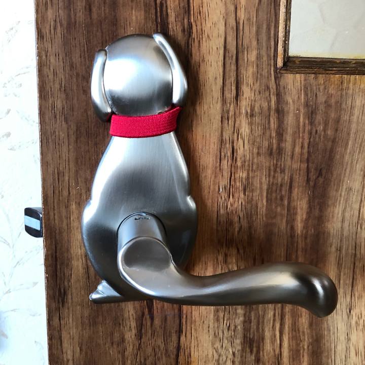 465f873e d2c4 476e 975f f5795ba7b8ca 1555138674597