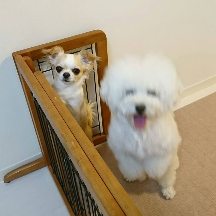 465fbe4d d2f3 4dcb 8ceb 69fc83dd3ad4 1525949277521