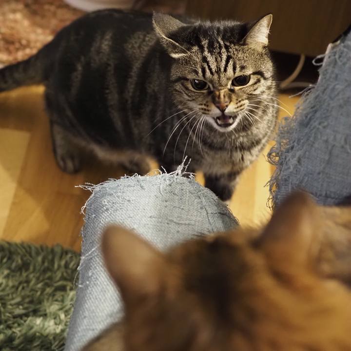 465ff49b 6d25 48ae 97d1 6ecdc25752cb 1669348839201