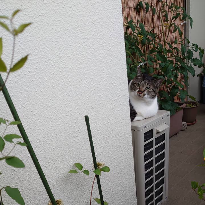 466018f1 f607 4fcd 8810 3e94b615d816 1590026253843