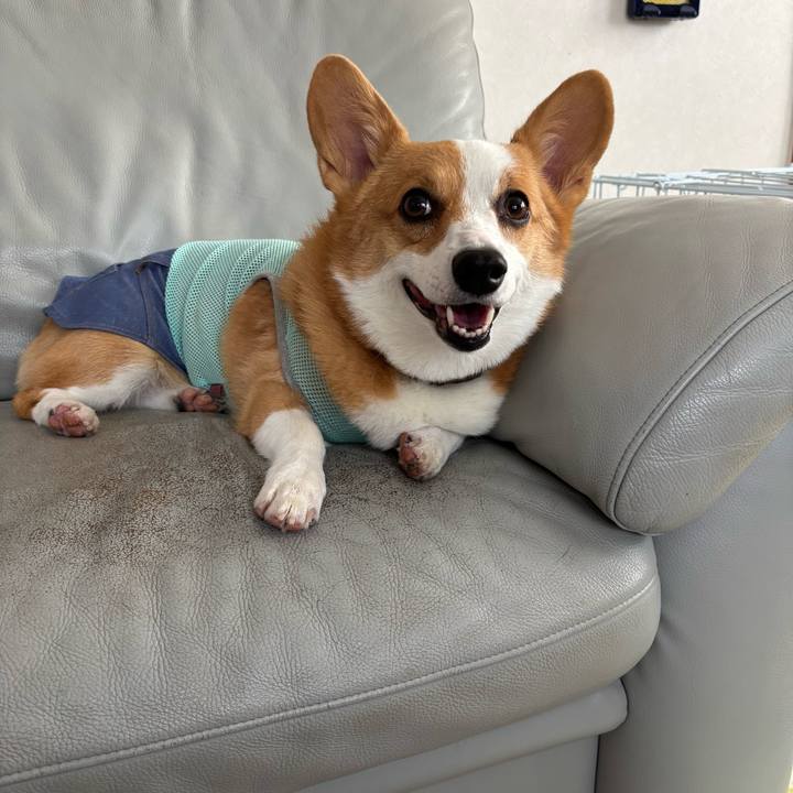 46605b94 0d8e 47b8 b296 35ce7c363ff2 1758497194909