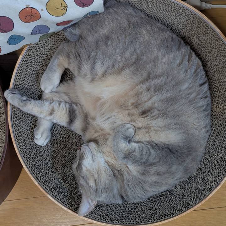 46607211 6c40 4ec6 bc8a ebb87281d6bc 1743810882885