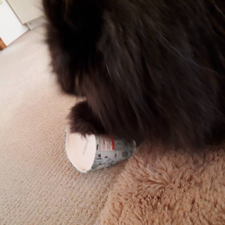 4660722d c2bd 4a31 92c7 c3c191452c2e 1518051455465