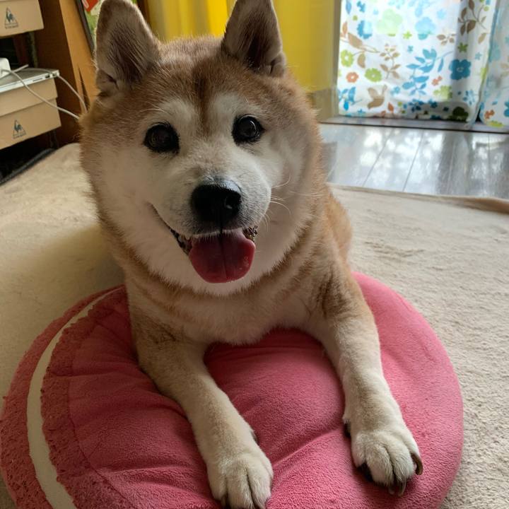 46607af2 9686 4d23 83e5 197445739f43 1599691953384