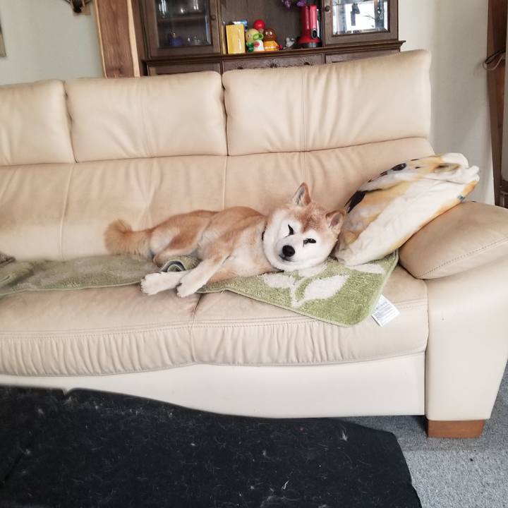 46609037 c0d7 444a 9cd7 43d1ed07ab64 1772423510848