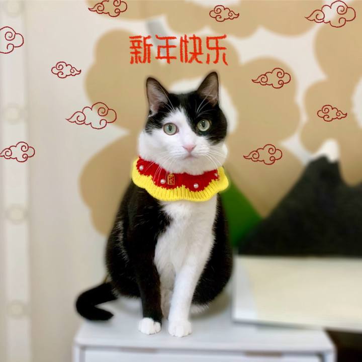 4660a596 71cc 479c bed1 789ae02c4abb 1707568058226