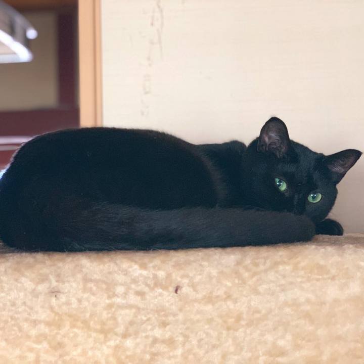 4660bc72 c9a3 416d 9a1d 0aeef44b3616 1568801399399