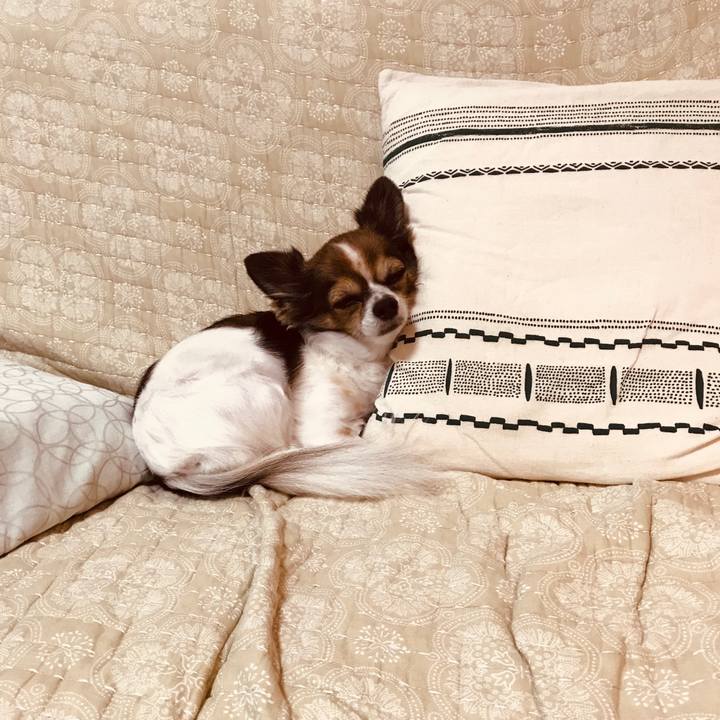 4660cd24 93be 48dc ae8a b45f7011d8b1 1539262322387