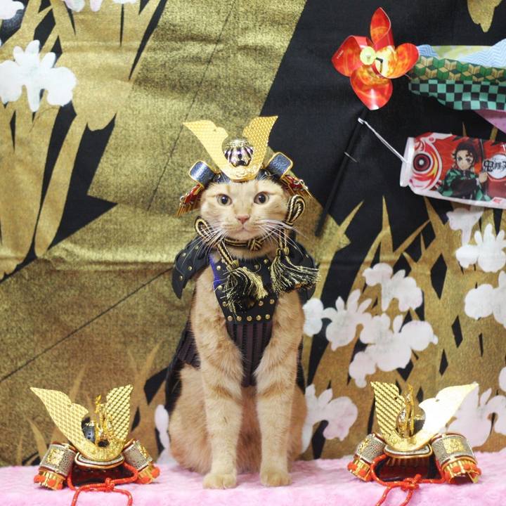 4660f892 0019 4cd5 b905 37806f5cae7d 1682487982844