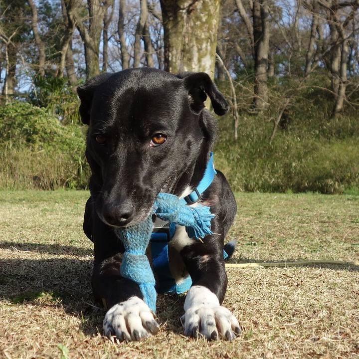 4661519a 416b 4f65 abb2 d988e06344ba 1616025001551