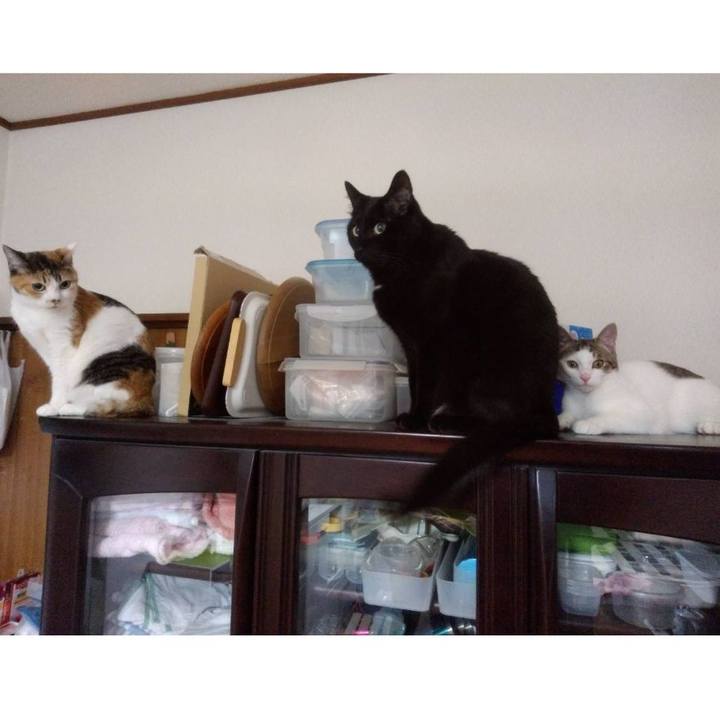 46617079 c789 4af2 b65a 524ba5b7dee9 1667029452459