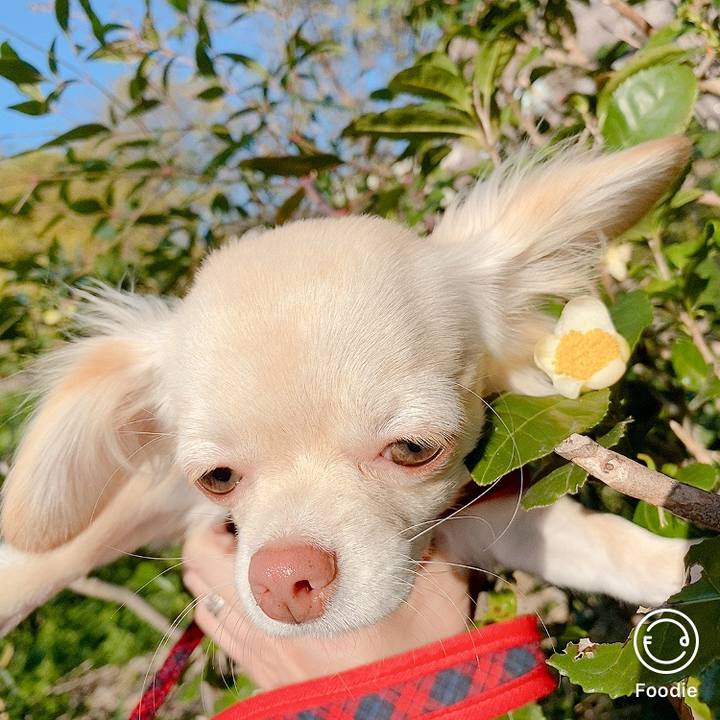 46618805 ad7b 492d 9e9b 346937e55bf4 1607237429788