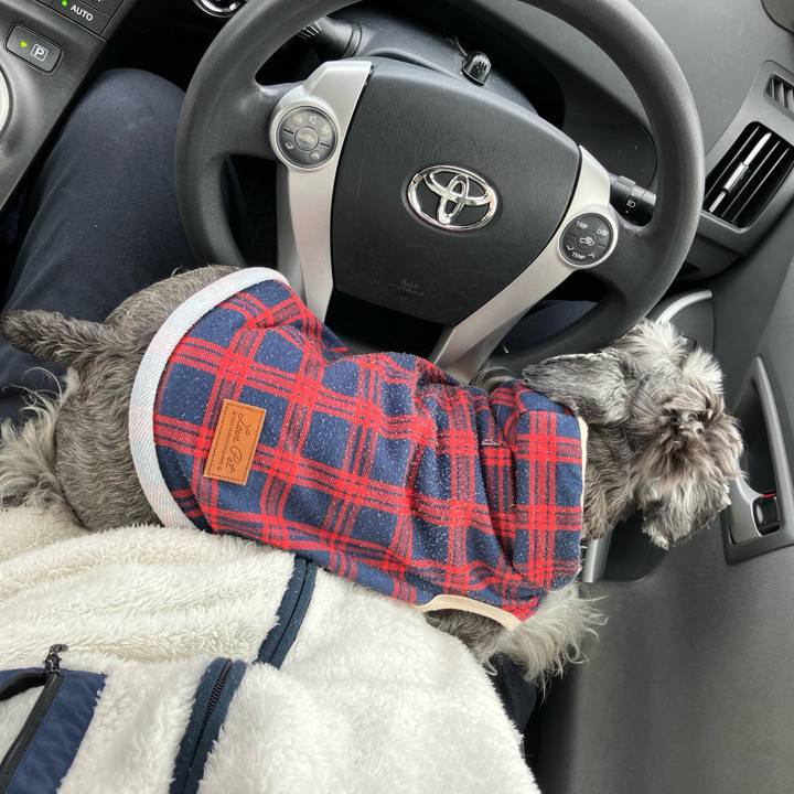 4661ab37 ced5 452c 8ed3 872e470223f1 1739427836759