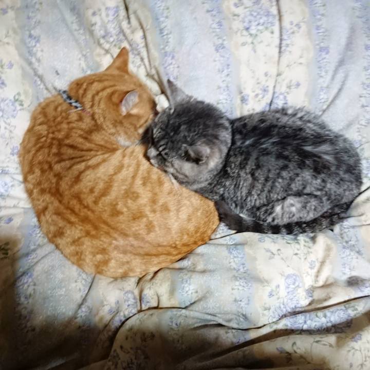 4661b248 a4bd 4cdf 80c5 9697e90b422e 1575806321192