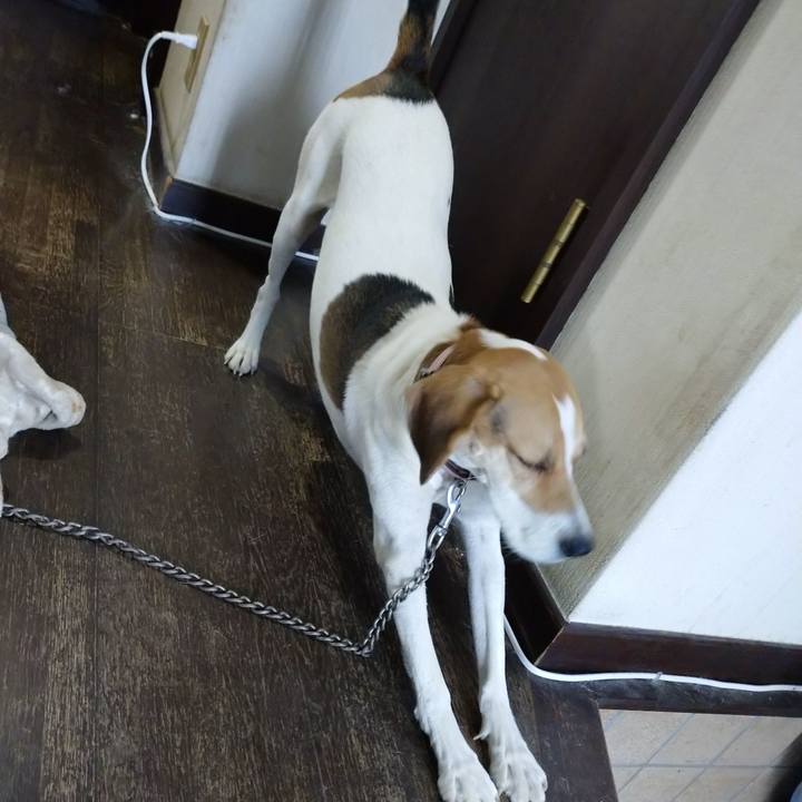 4661bdf7 0373 47c3 8fd0 fbb15fe5570b 1602560460976