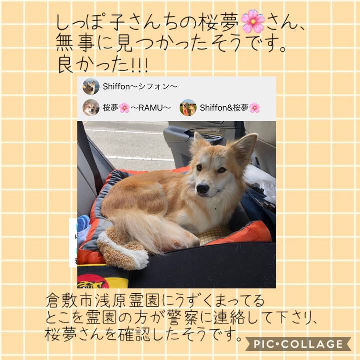 4661c552 38d5 45e1 bf29 b9441bd20f22 1542855825821