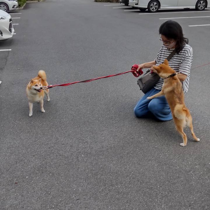 4661dd57 c948 4121 9833 b49d459e10f4 1663329972650