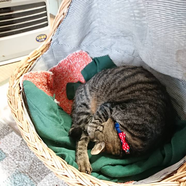 4661f28c defe 41aa a859 ca08a4024818 1640929157812