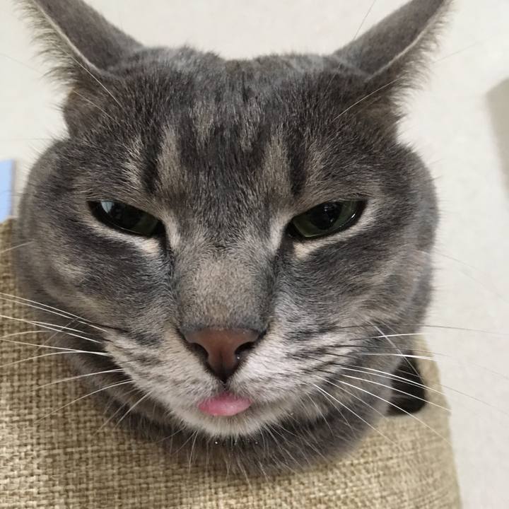 46625751 743a 4465 9317 b67ff96c04e6 1561193376303