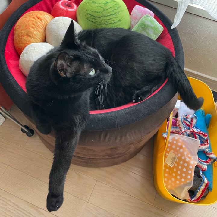 466263e0 8637 437a 9f2a 5a6657c9e326 1678584099010