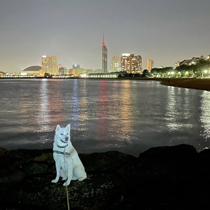 46626aa3 0ebb 47a6 8cba 85f3d83636ce 1622292015773