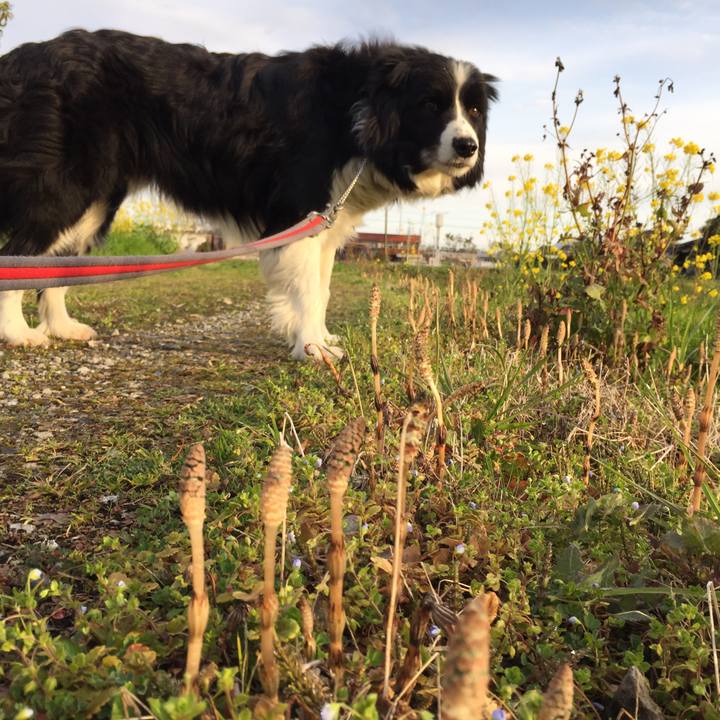 466277a4 afbd 4157 b92d 5d07c1369c7c 1583189364282