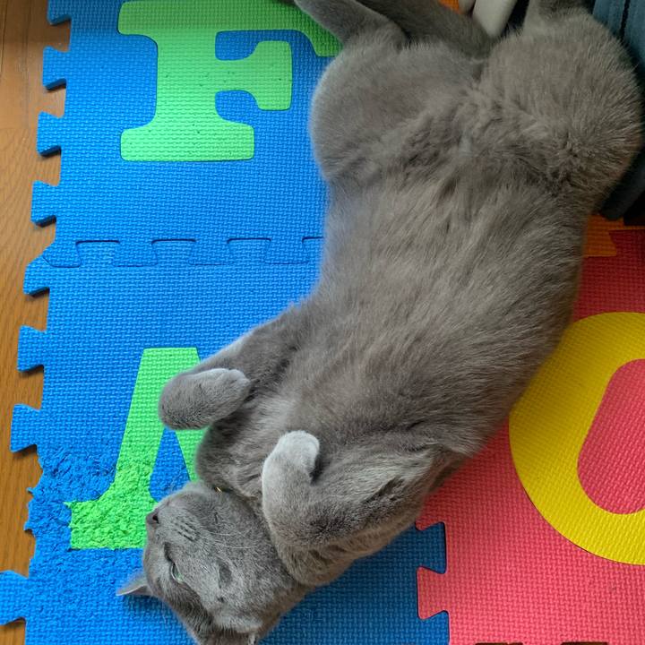 4662d706 10a6 4746 8dc2 32a3973392b1 1591411325766