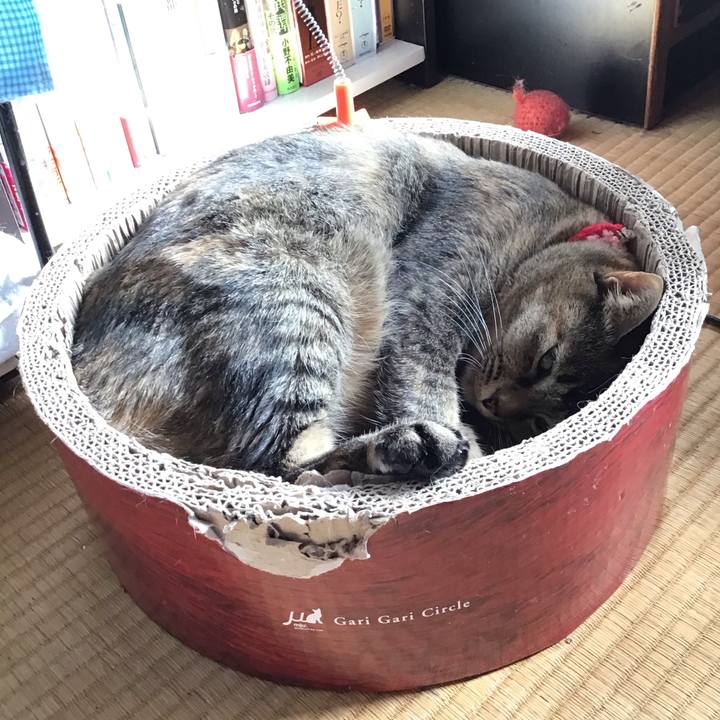 4662e233 1a61 425e 8ab7 310c629a3594 1679484503746