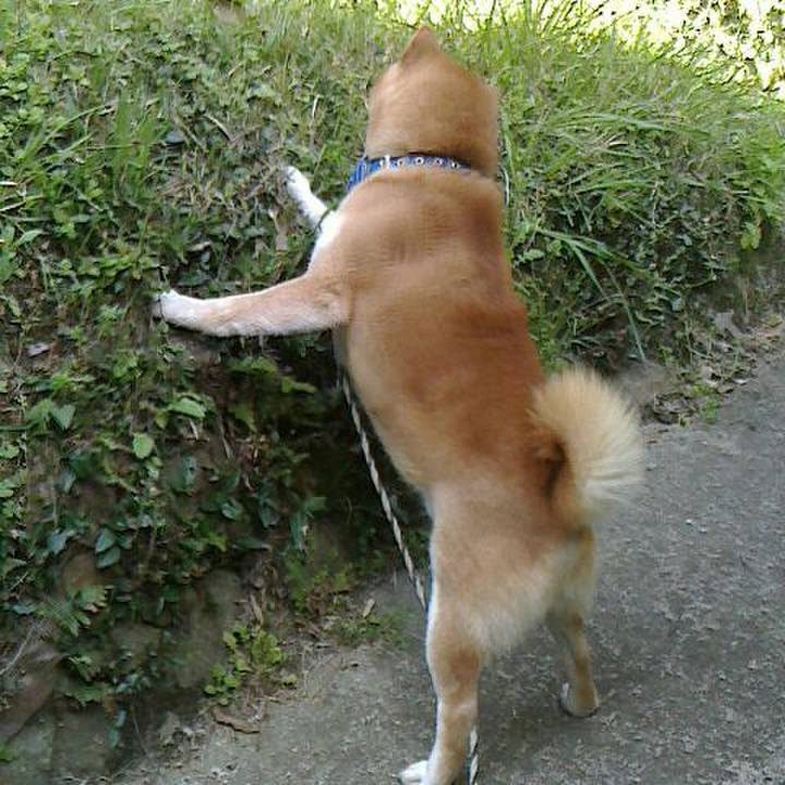 466316e7 c86d 4b3a a62b d770516cac63 1524565625961