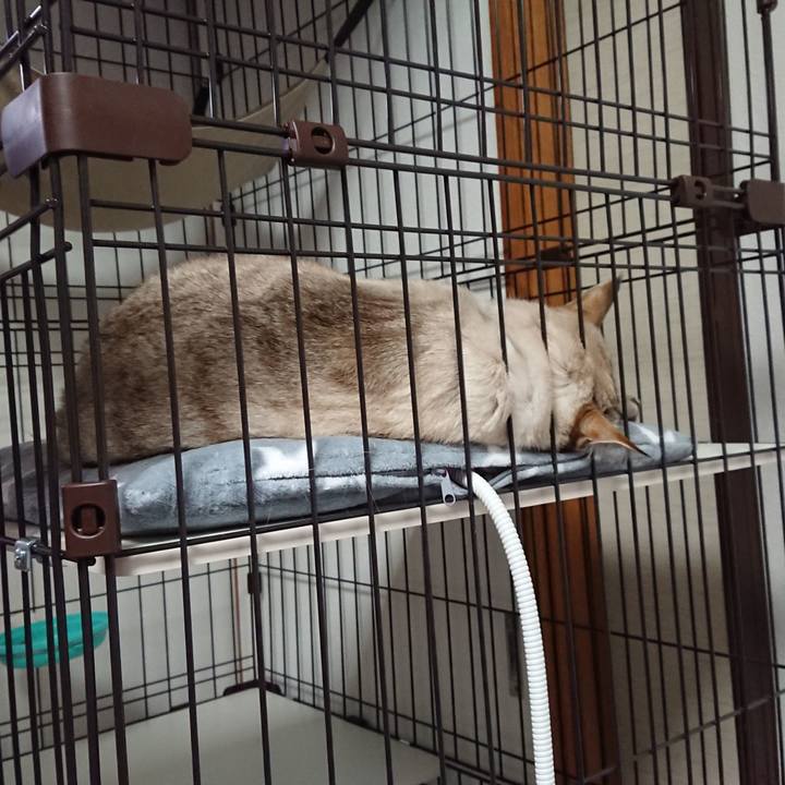 466340e9 e399 4590 93fd c49f989523c3 1518876150574