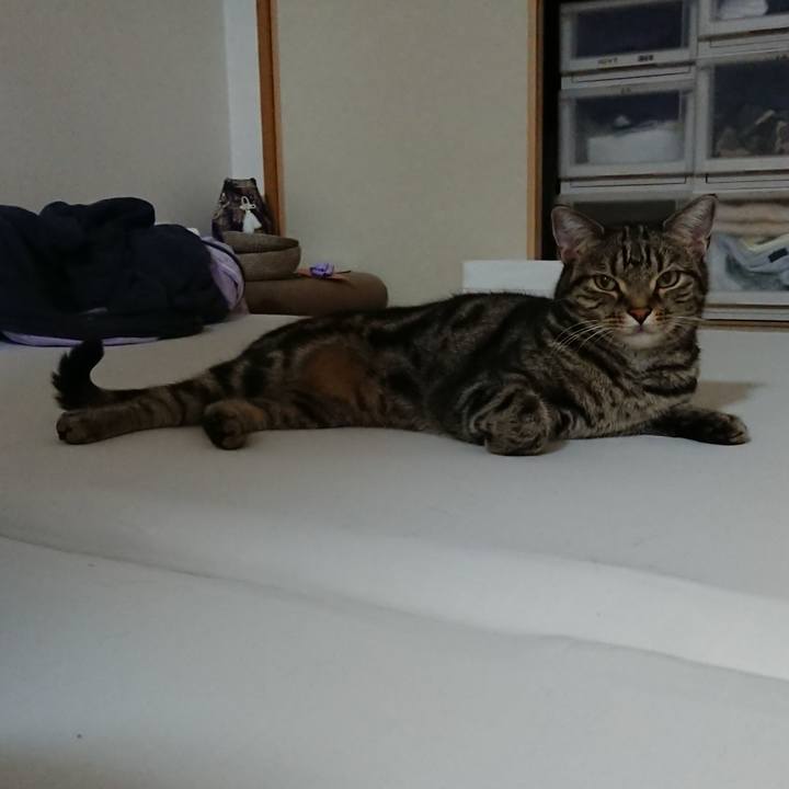 46634384 7ea3 4e07 a393 bac6df26ce1b 1559823727753