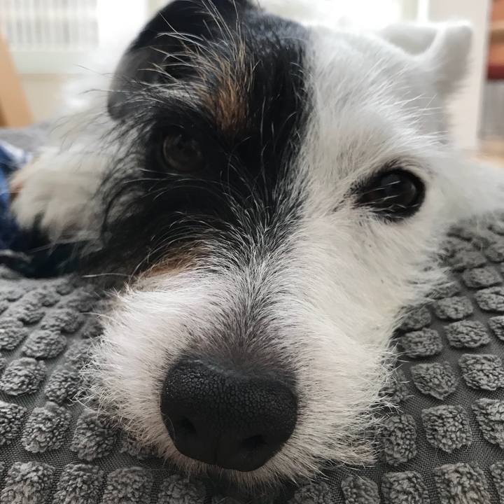 46637c97 94c3 4903 863a c52dac1e428a 1529029797351