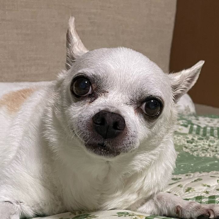 46639eaa 1752 4f94 aa80 a2ecbbe2c413 1696659876050