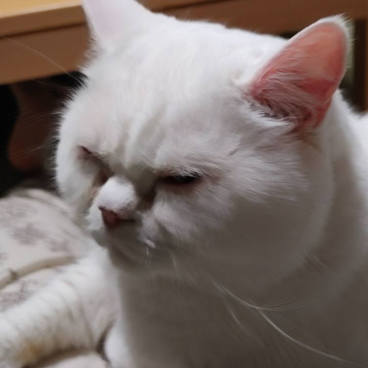 4663a66d fad2 4fef 8ebb 9c0535f63372 1652190093652