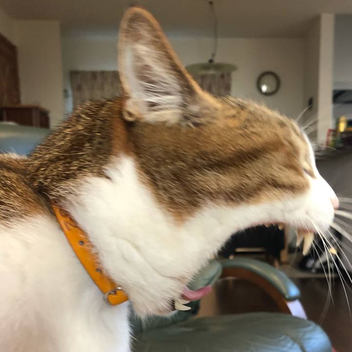 4663b288 1bbd 433c ade3 027474b9b39d 1540819316797