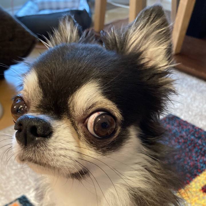 4663c774 f5e5 4d80 b603 69aa3efe2a84 1717282456058