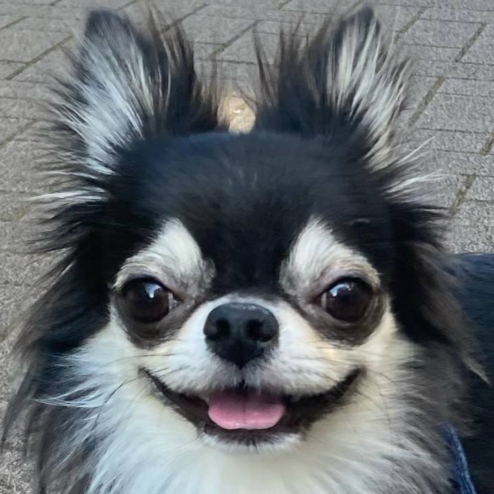 4663d52c 4070 4f7a bc5c d5ad8f0d0db1 1636174511415