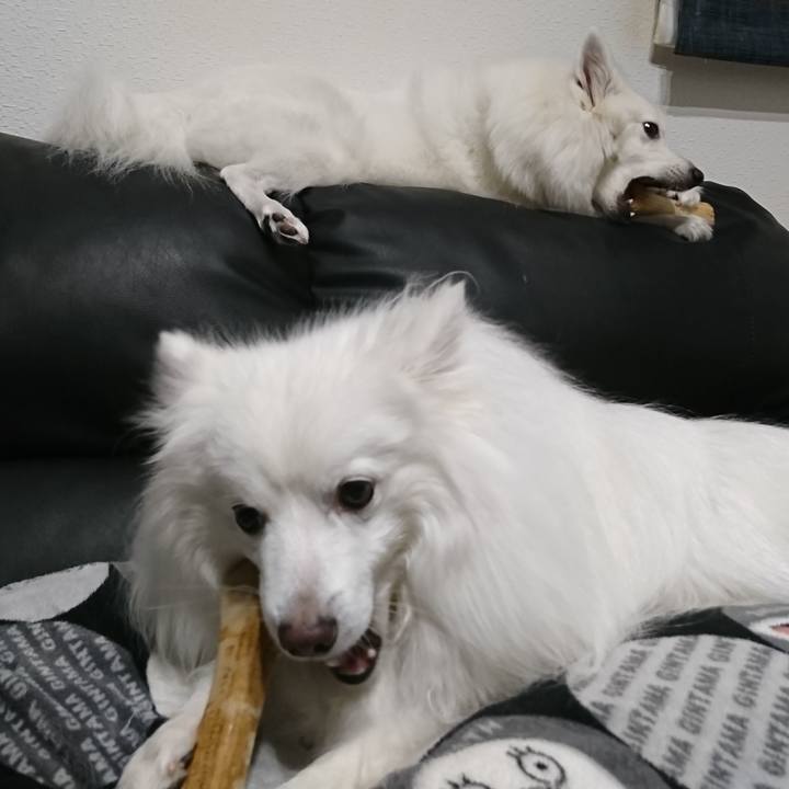 4663ec67 58be 4a7d 8f50 334b52a2b1c7 1611475345763