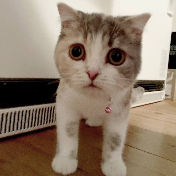 466402d8 b080 40c2 9ccb 7b33acdd8212 1542798506638